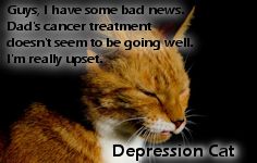 Depression Cat