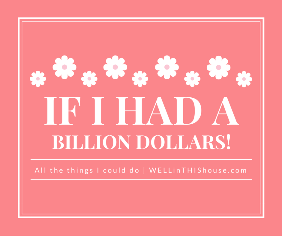 If I had a billion dollars
